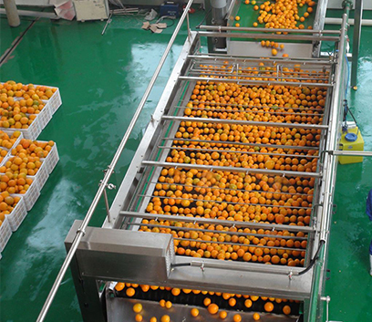 果蔬清洗生產線